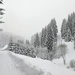 Jasmin