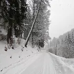 Jasmin * Vítkovice