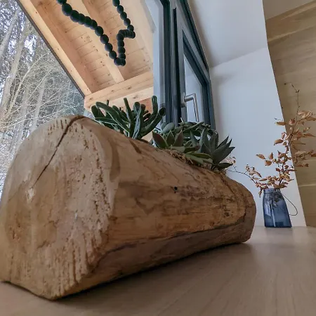 Lägenhet Jasmin Vítkovice
