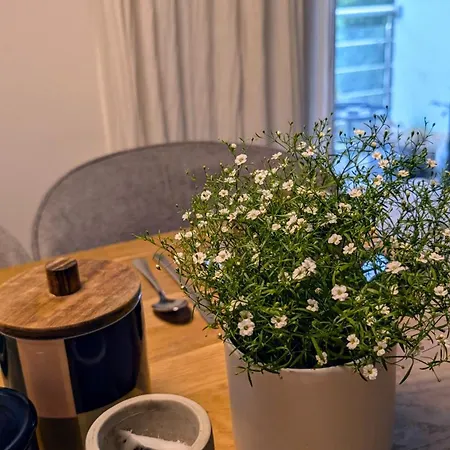 Jasmin *
